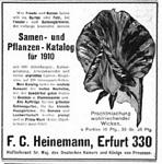Heinemann 1910 380.jpg